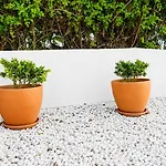 Casa Com Patio-sao Lourenco-ericeira Holiday home *