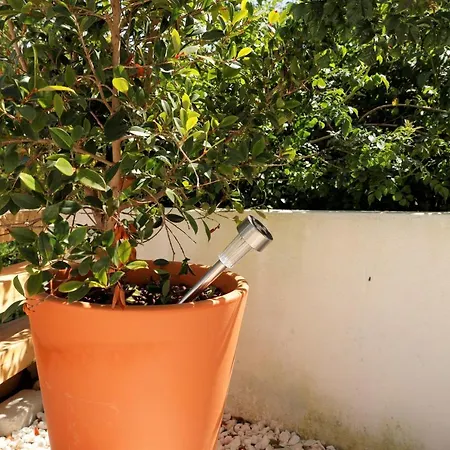 Casa Com Patio-sao Lourenco-ericeira 펜션