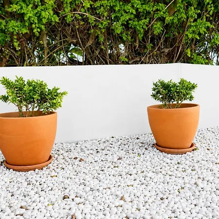 Casa Com Patio-sao Lourenco-ericeira 펜션 *